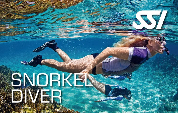 Snorkel Diver - 28th January 2025