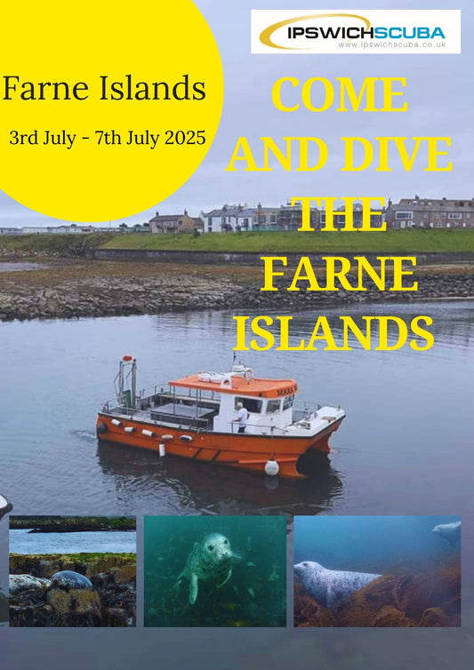 Farne Islands