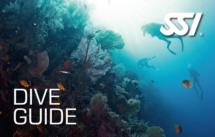 SSI Dive Guide