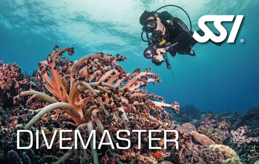 SSI Divemaster (Dive Guide & Science of Diving)