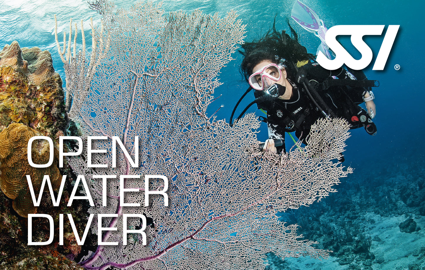 SSI Open Water Diver - Dives Only