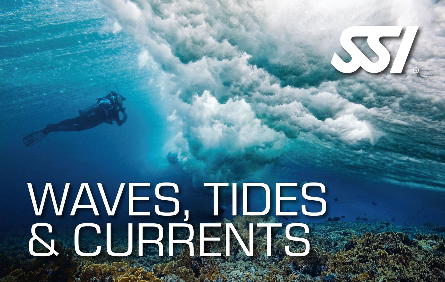 SSI Waves, Tides & Currents